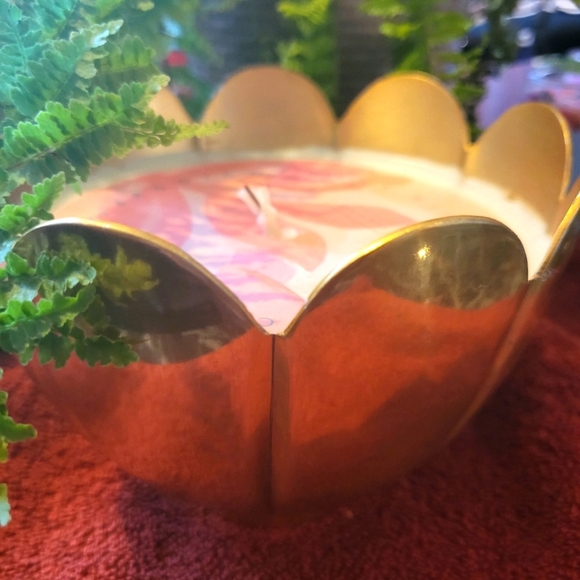 IIlume Coconut Milk Mango Soy Candle - Picture 2 of 3